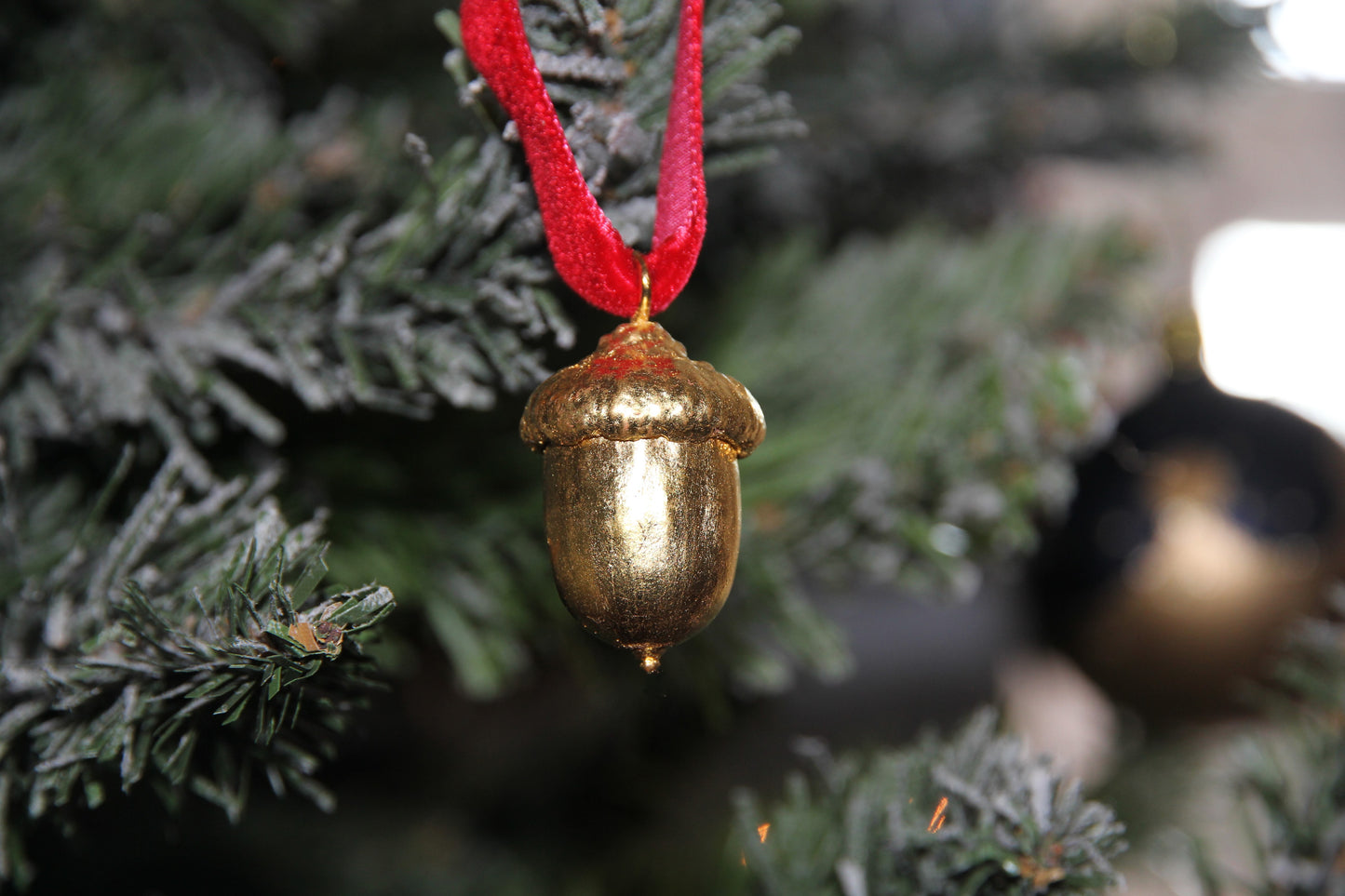 Real Acorn, hand gilded with 23.5ct gold leaf